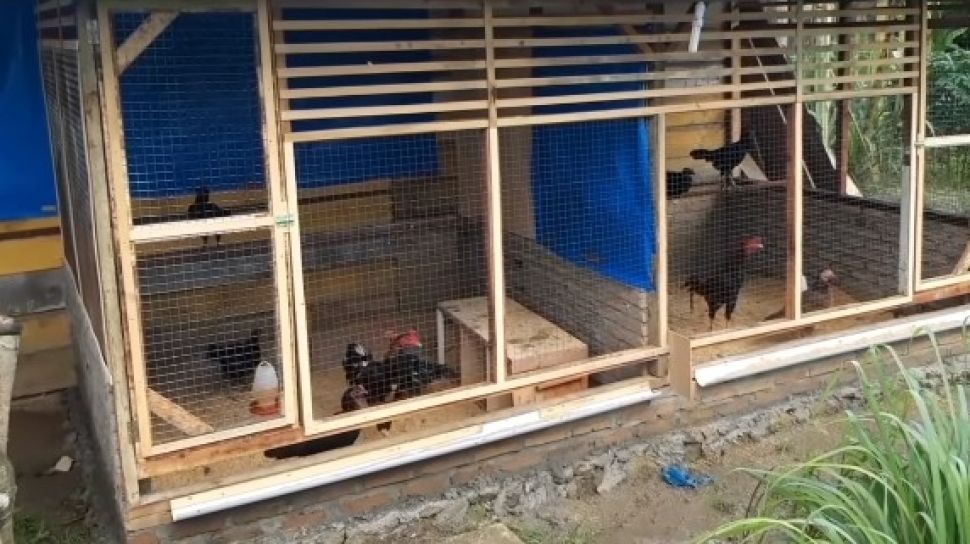 Nasib Punya Tetangga Rese, Mobil Tak Bisa Melintas Gegara Kandang Ayam Tutupi Akses Masuk