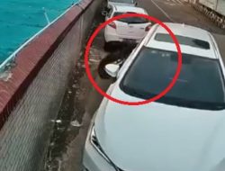 Viral Cara Ekstrem Pemobil Parkir Paralel di Pinggir Jalan, Publik Geleng-geleng Kepala