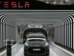 Elon Musk Konfirmasi Tesla Tidak Membangun Pabrik di India