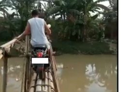 Serasa Uji Nyali, Video Pria Naik Honda Scoopy Seberangi Jembatan Setapak dari Bambu Bikin Kawannya Panik
