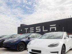 Analis Perkirakan Kedigdayaan Tesla di Pasar Mobil Listrik Amerika Bakal Rampung pada 2025